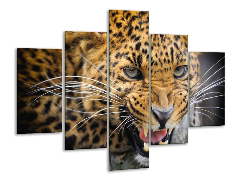 Glas schilderij Luipaard | Bruin, Zwart | 100x70cm 5Luik