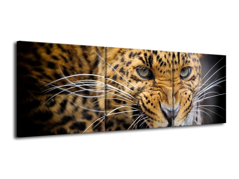 Canvas schilderij Luipaard | Bruin, Zwart | 120x40cm 3Luik