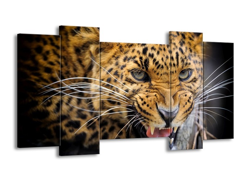 Canvas schilderij Luipaard | Bruin, Zwart | 120x65 5Luik
