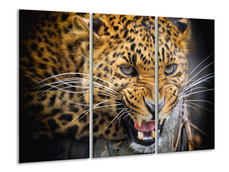 Glas schilderij Luipaard | Bruin, Zwart | 120x80cm 3Luik