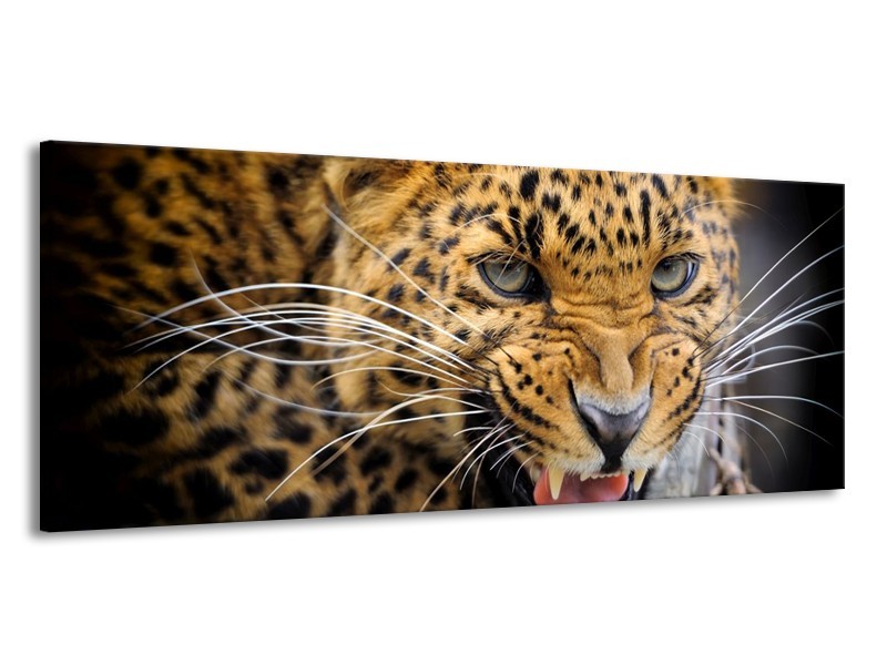 Canvas schilderij Luipaard | Bruin, Zwart | 145x58cm 1Luik