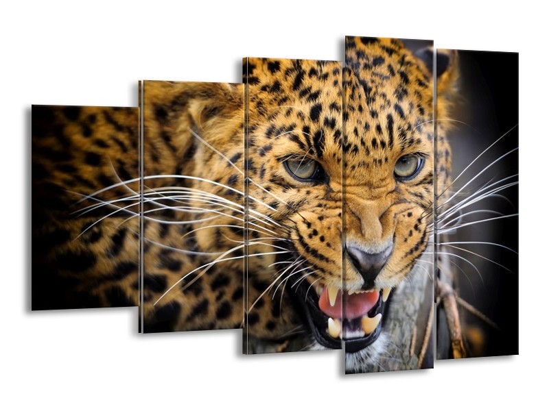 Canvas schilderij Luipaard | Bruin, Zwart | 150x100cm 5Luik