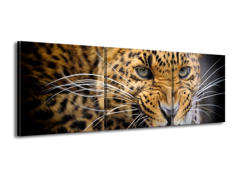 Glas schilderij Luipaard | Bruin, Zwart | 150x50cm 3Luik