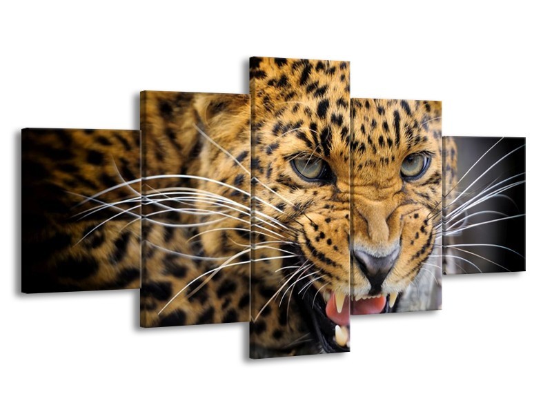 Canvas schilderij Luipaard | Bruin, Zwart | 150x80cm 5Luik