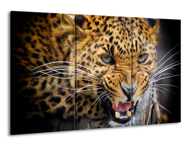 Glas schilderij Luipaard | Bruin, Zwart | 165x100cm 3Luik