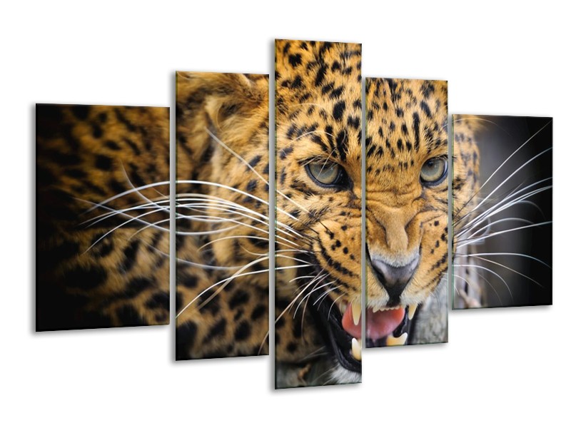 Canvas schilderij Luipaard | Bruin, Zwart | 170x100cm 5Luik