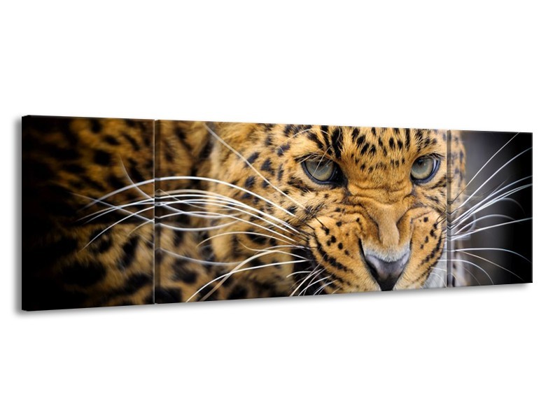 Glas schilderij Luipaard | Bruin, Zwart | 170x50cm 3Luik