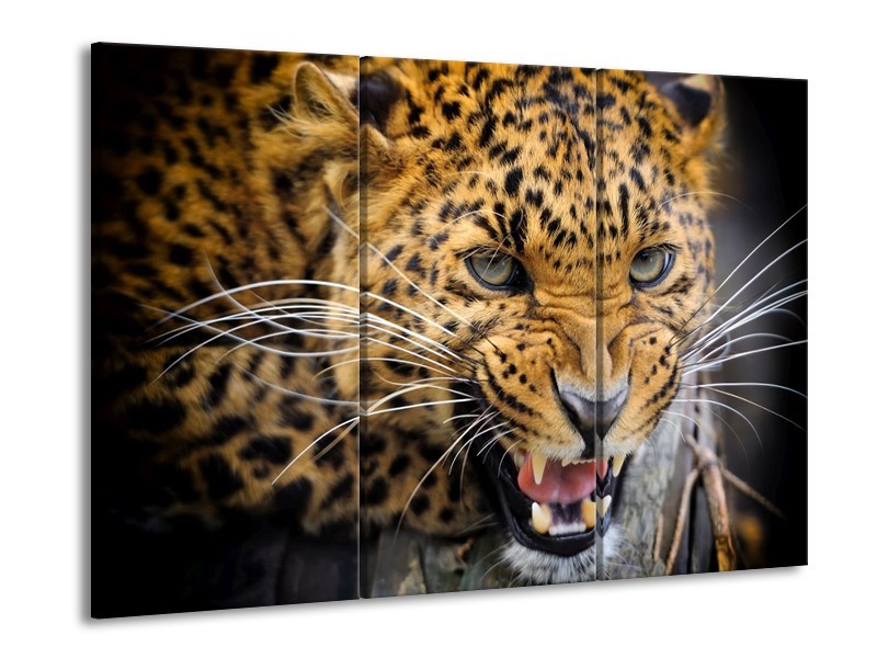 Glas schilderij Luipaard | Bruin, Zwart | 90x60cm 3Luik