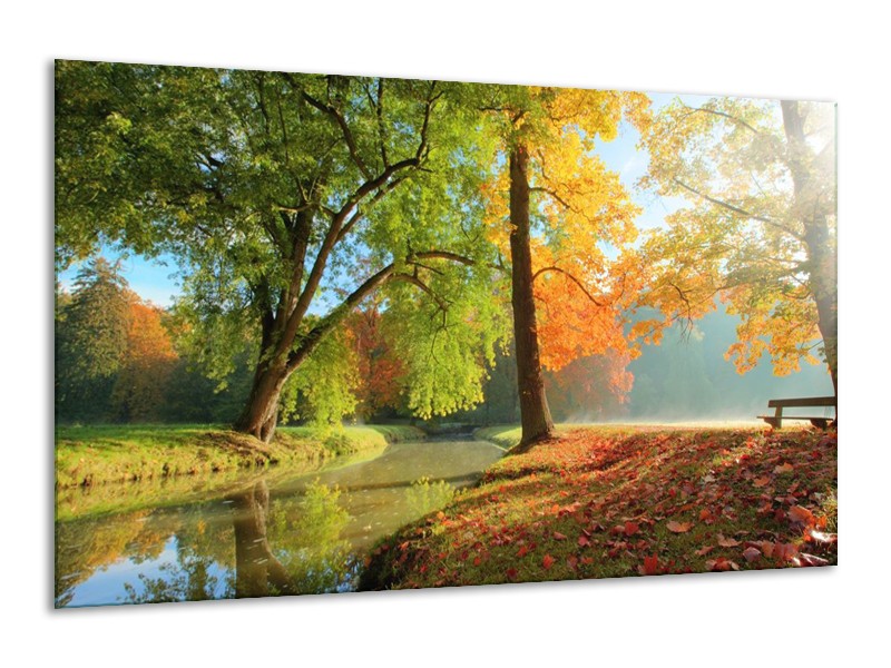 Glas schilderij Herfst | Oranje, Bruin, Groen | 120x70cm 1Luik