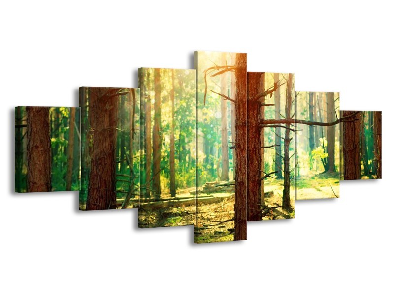 Glas schilderij Natuur | Groen, Geel, Bruin | 210x100cm 7Luik