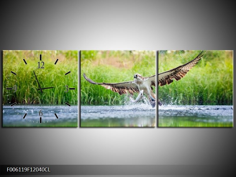 Klok schilderij Natuur | Groen, Grijs | 120x40cm 3Luik