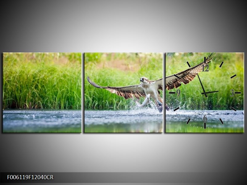 Klok schilderij Natuur | Groen, Grijs | 120x40cm 3Luik