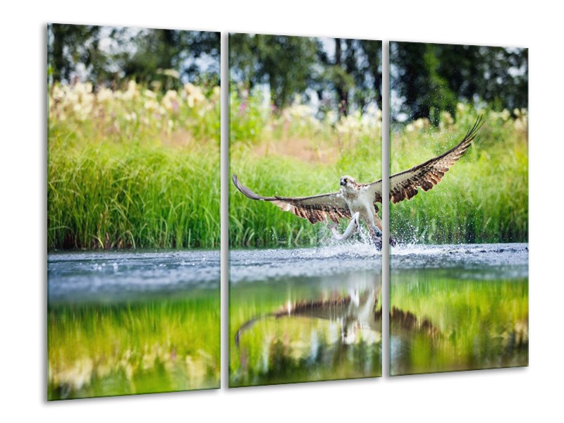 Glas schilderij Natuur | Groen, Grijs | 120x80cm 3Luik