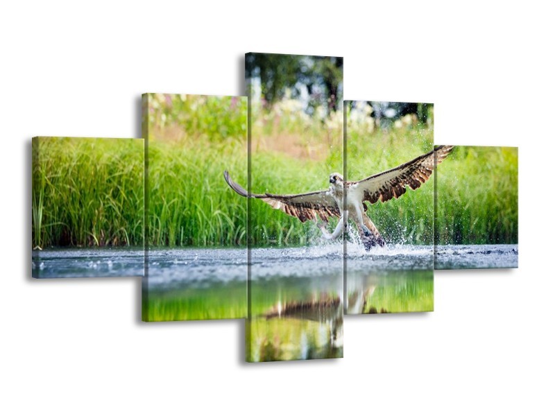 Glas schilderij Natuur | Groen, Grijs | 125x70cm 5Luik