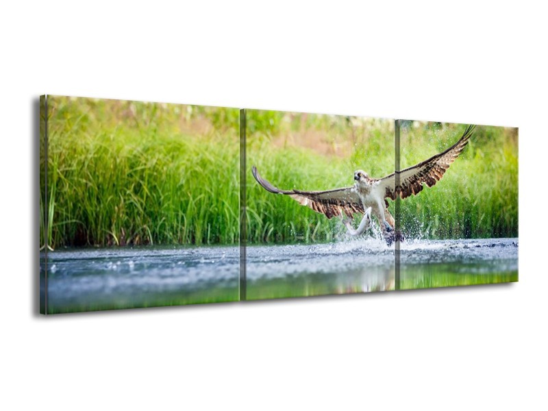 Canvas schilderij Natuur | Groen, Grijs | 150x50cm 3Luik
