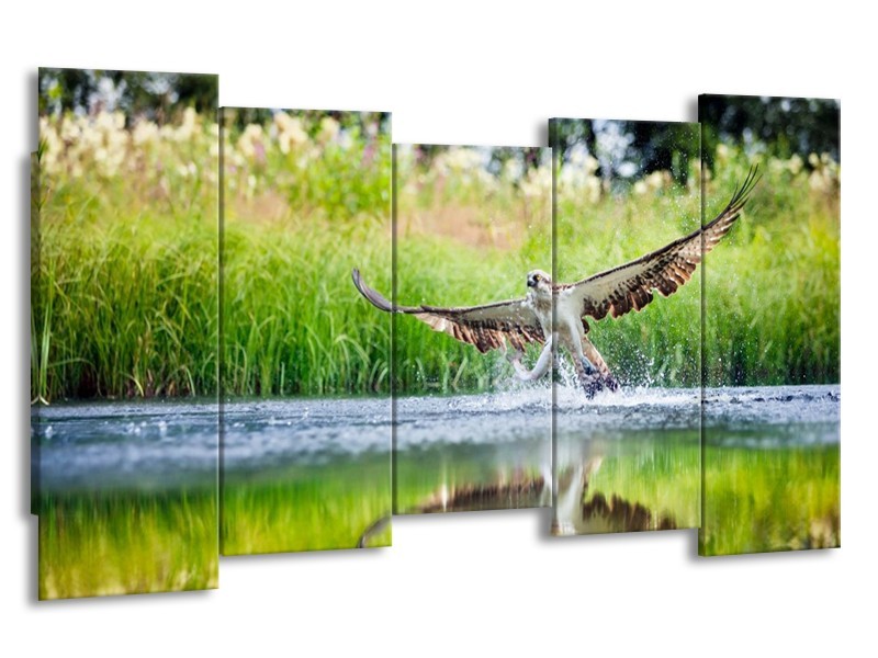 Canvas schilderij Natuur | Groen, Grijs | 150x80cm 5Luik
