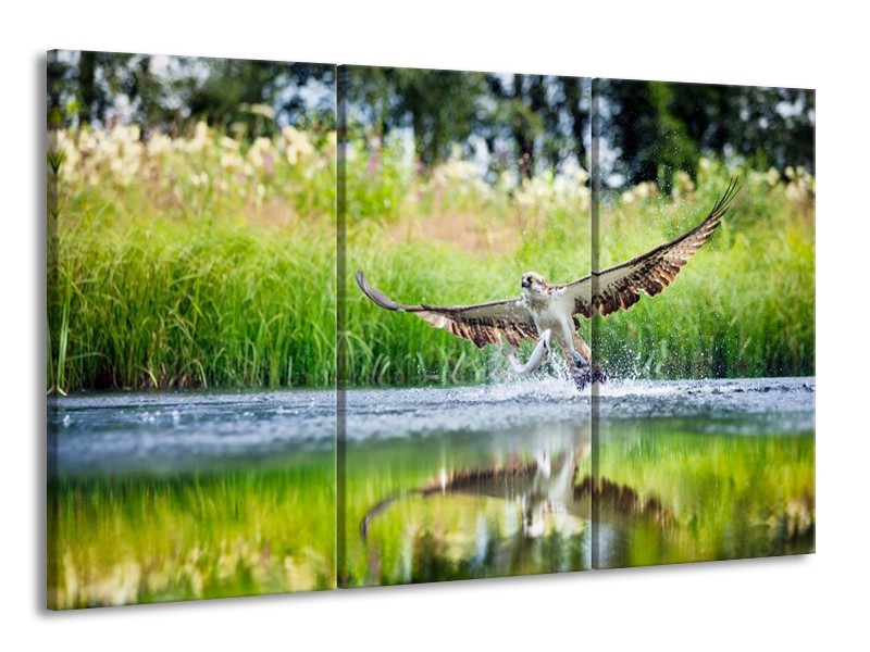 Canvas schilderij Natuur | Groen, Grijs | 165x100cm 3Luik