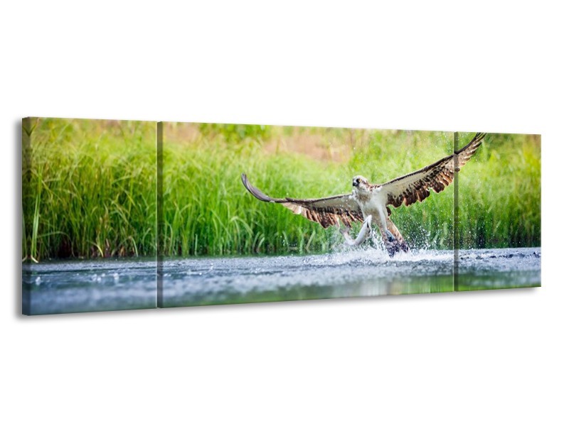 Canvas schilderij Natuur | Groen, Grijs | 170x50cm 3Luik