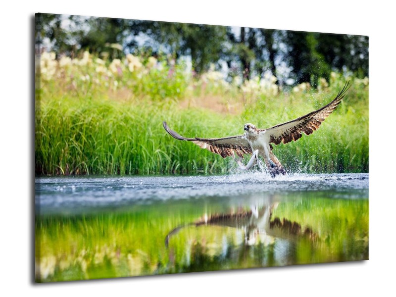 Canvas schilderij Natuur | Groen, Grijs | 70x50cm 1Luik