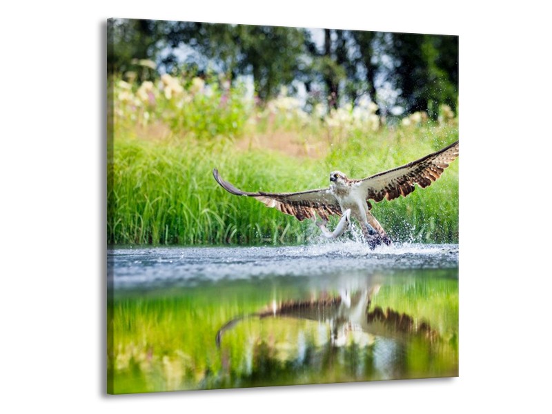 Canvas schilderij Natuur | Groen, Grijs | 70x70cm 1Luik