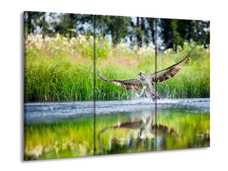Canvas schilderij Natuur | Groen, Grijs | 90x60cm 3Luik