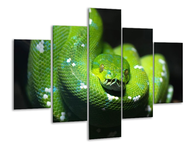Canvas schilderij Natuur | Groen, Zwart | 100x70cm 5Luik