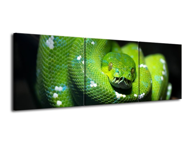 Glas schilderij Natuur | Groen, Zwart | 120x40cm 3Luik
