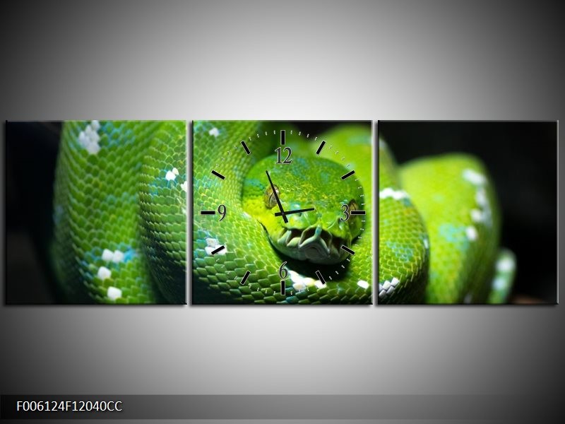 Klok schilderij Natuur | Groen, Zwart | 120x40cm 3Luik