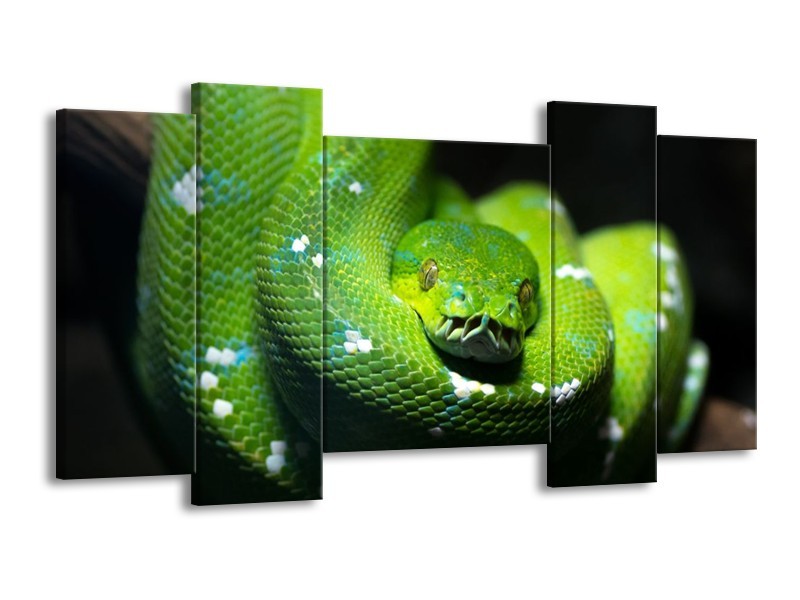 Glas schilderij Natuur | Groen, Zwart | 120x65cm 5Luik