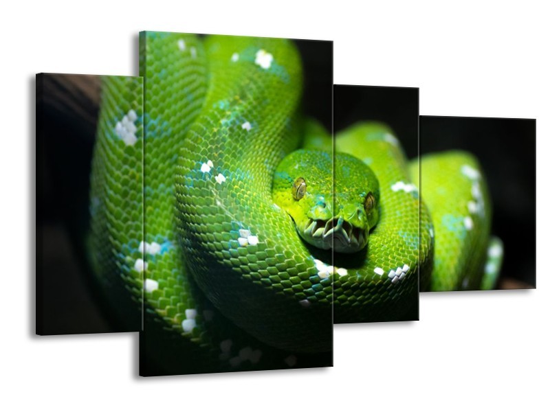 Canvas schilderij Natuur | Groen, Zwart | 120x75cm 4Luik