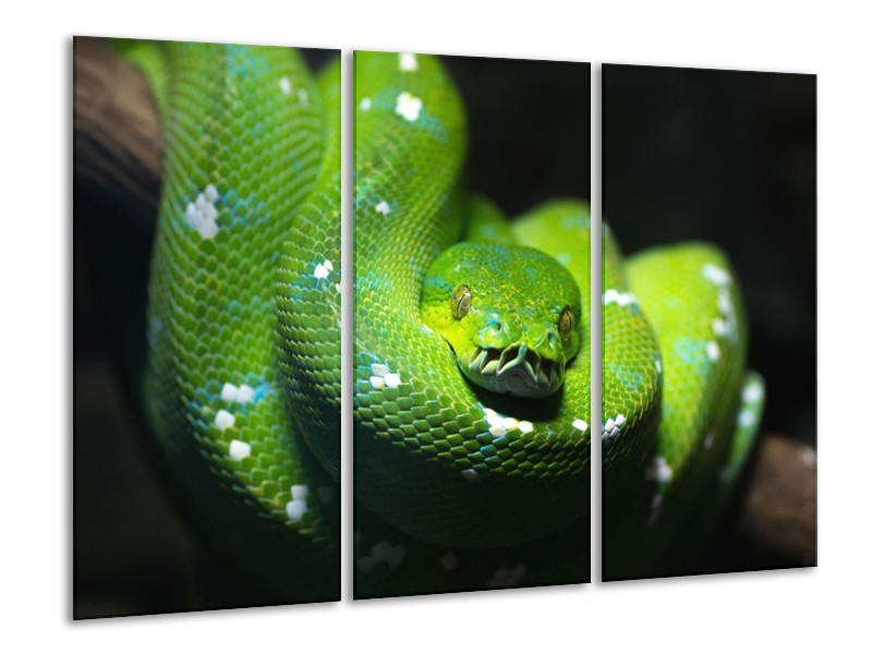 Canvas schilderij Natuur | Groen, Zwart | 120x80cm 3Luik