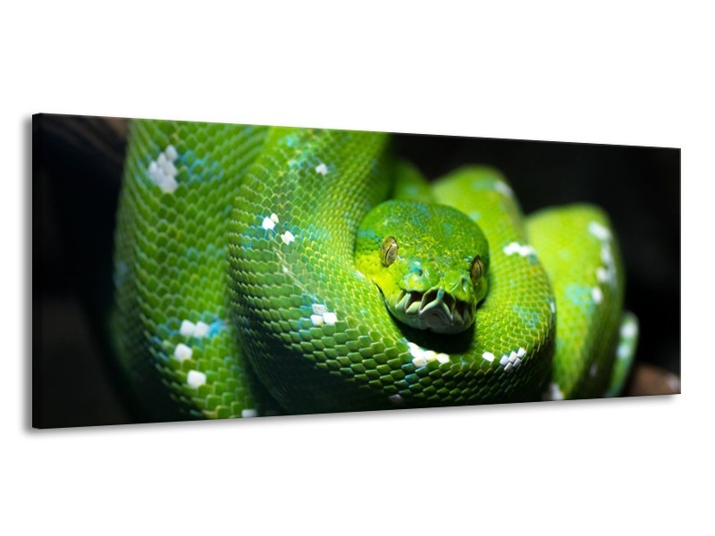 Glas schilderij Natuur | Groen, Zwart | 145x58cm 1Luik