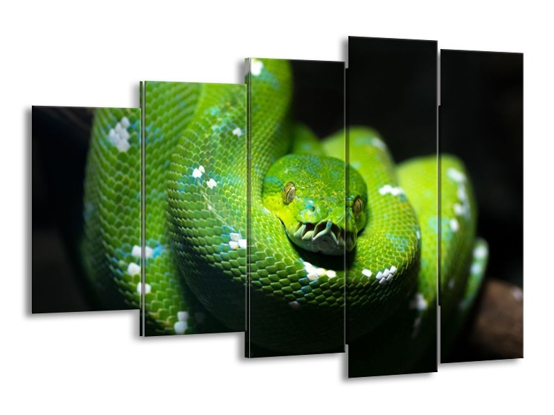 Canvas schilderij Natuur | Groen, Zwart | 150x100cm 5Luik