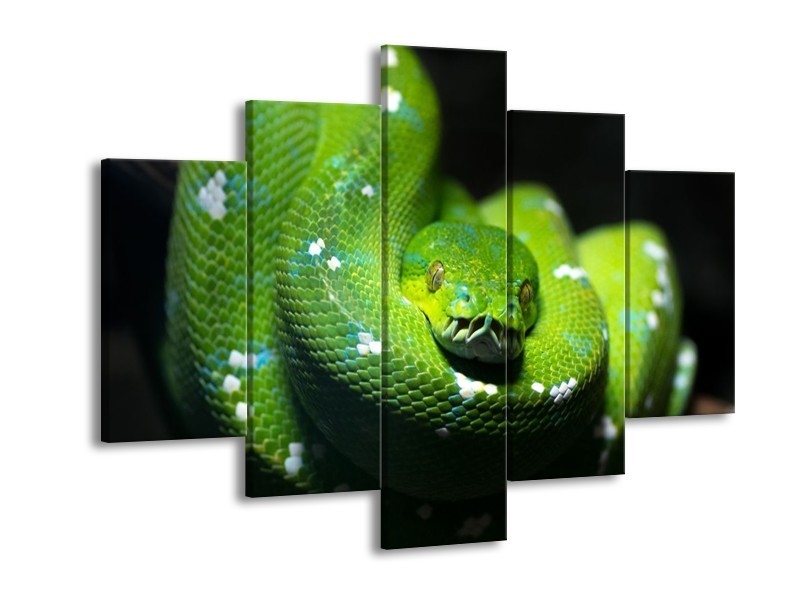 Canvas schilderij Natuur | Groen, Zwart | 150x105cm 5Luik