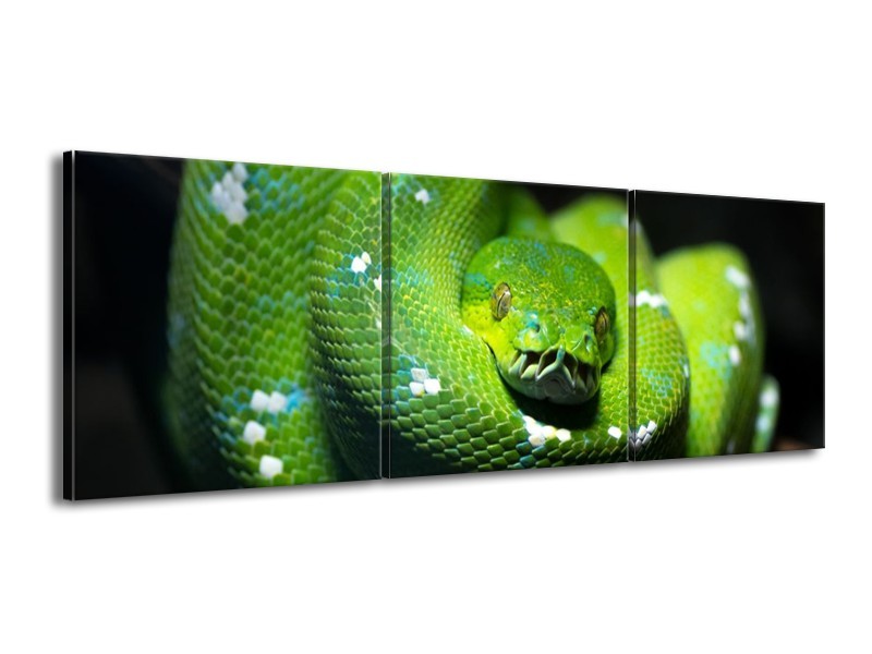 Glas schilderij Natuur | Groen, Zwart | 150x50cm 3Luik