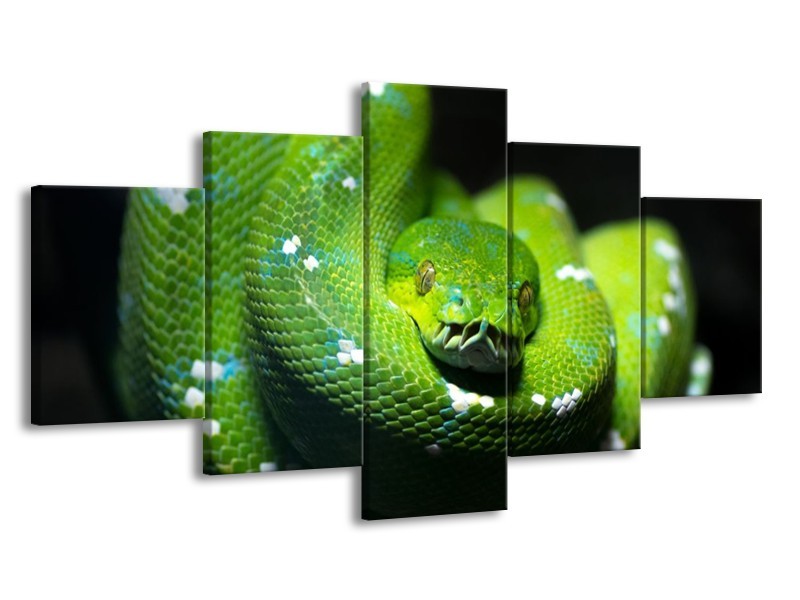 Glas schilderij Natuur | Groen, Zwart | 150x80cm 5Luik