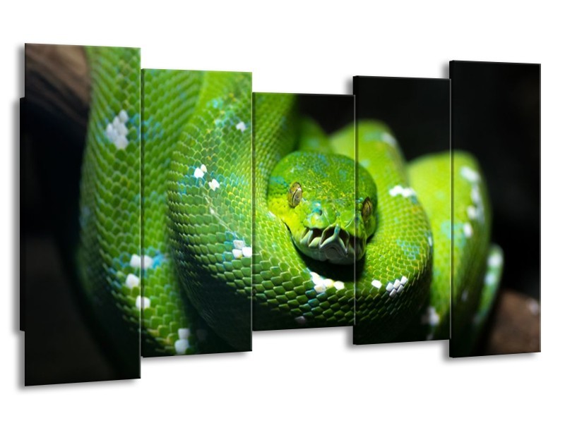 Glas schilderij Natuur | Groen, Zwart | 150x80cm 5Luik