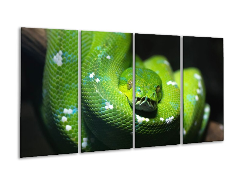 Canvas schilderij Natuur | Groen, Zwart | 160x80cm 4Luik