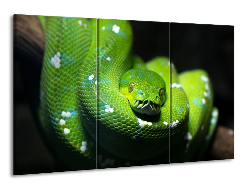 Glas schilderij Natuur | Groen, Zwart | 165x100cm 3Luik