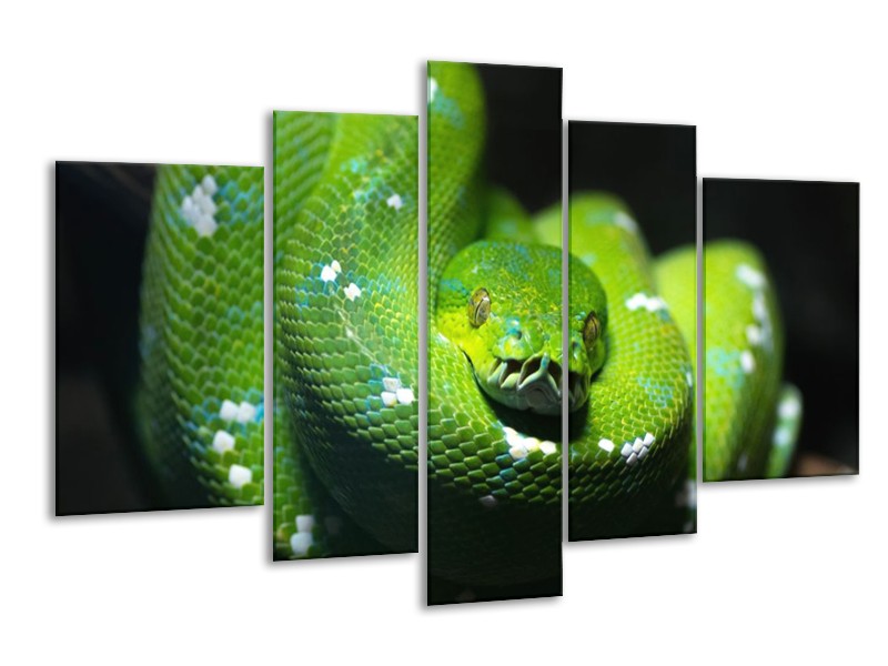 Canvas schilderij Natuur | Groen, Zwart | 170x100cm 5Luik