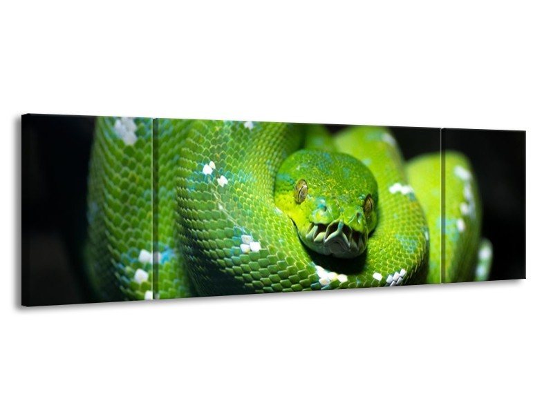 Canvas schilderij Natuur | Groen, Zwart | 170x50cm 3Luik