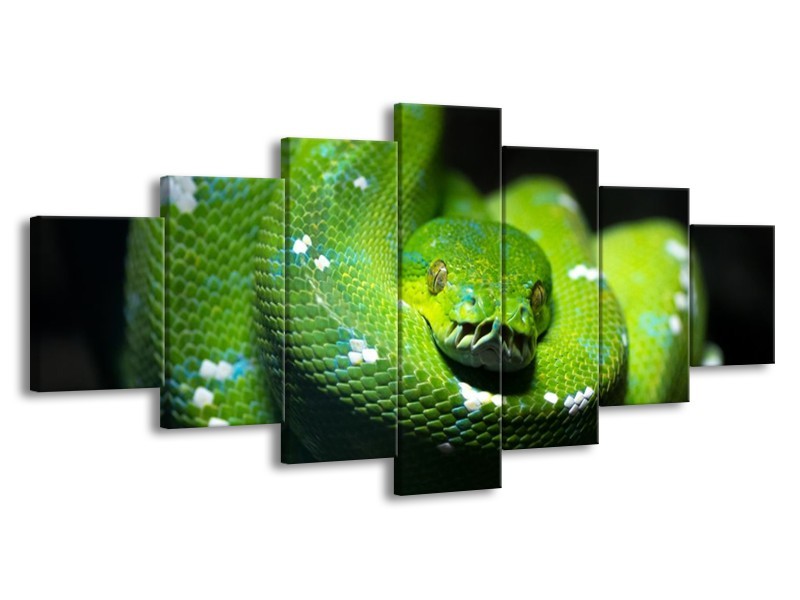 Glas schilderij Natuur | Groen, Zwart | 210x100cm 7Luik