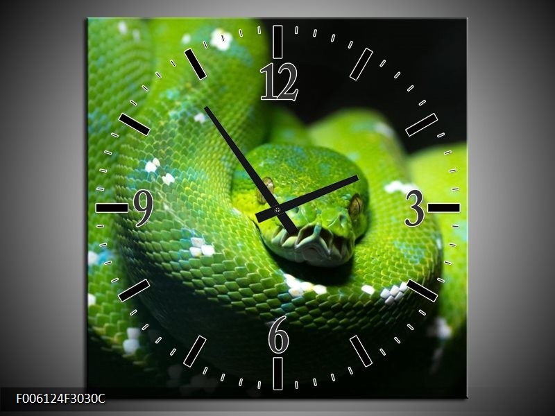 Klok schilderij Natuur | Groen, Zwart | 30x30cm 1Luik