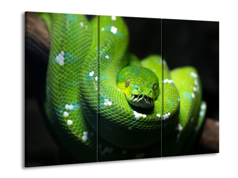 Glas schilderij Natuur | Groen, Zwart | 90x60cm 3Luik