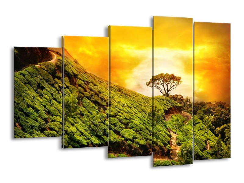 Canvas schilderij Natuur | Groen, Oranje, Geel | 150x100cm 5Luik