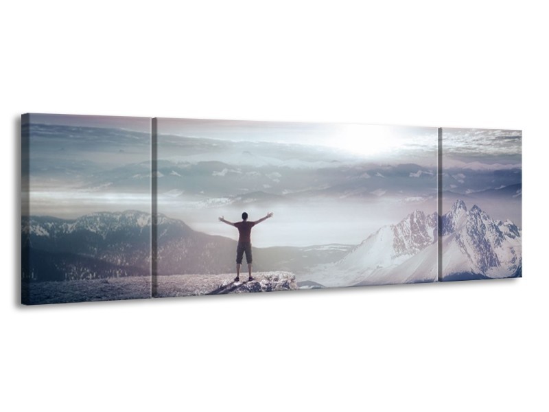 Canvas schilderij Natuur | Grijs, Wit | 170x50cm 3Luik
