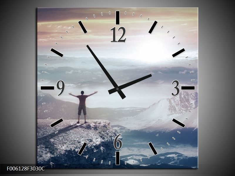 Klok schilderij Natuur | Grijs, Wit | 30x30cm 1Luik