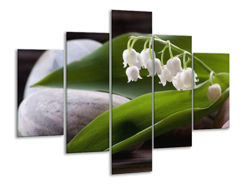 Glas schilderij Bloemen | Groen, Wit, Grijs | 100x70cm 5Luik