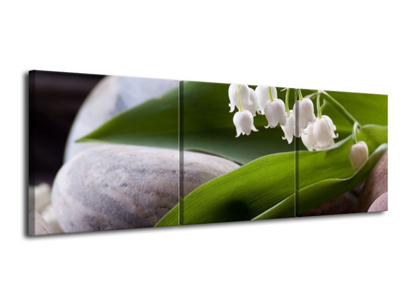 Glas schilderij Bloemen | Groen, Wit, Grijs | 120x40cm 3Luik