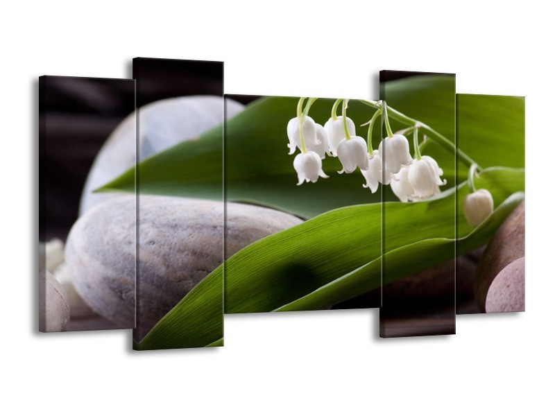 Canvas schilderij Bloemen | Groen, Wit, Grijs | 120x65 5Luik